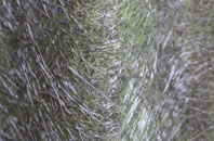 Borrowston fibreglass roof work