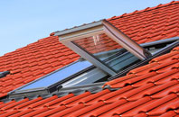 Borrowston roof window